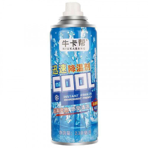 Binh Xit Lanh Tuc Thi 300ml Dong Bang Be Mat Lam Mat Co The O To Xe May 8356364769 06