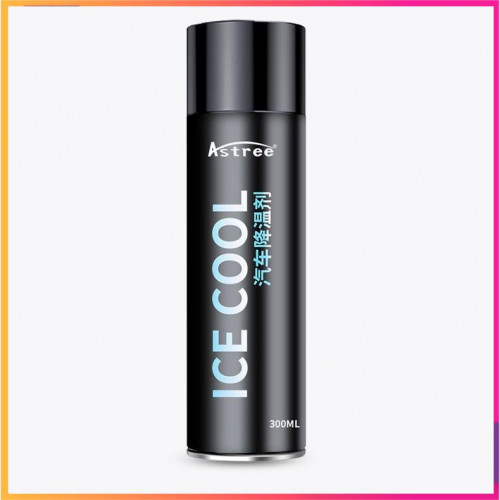 Binh Xit Lanh Tuc Thi 300ml Dong Bang Be Mat Lam Mat Co The O To Xe May 8356364769 07