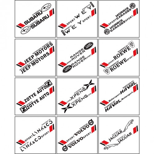 Tem Dan Suon Xe O To The Thao Logo Hang Xe 13306732681 05