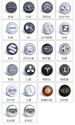 Logo Chup Mam Xe Tu Tinh (7)