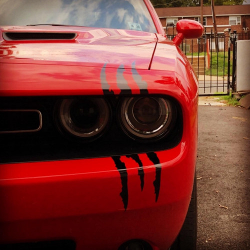 Tem Vet Cao Phan Quang Trang Tri Den Xe O To Sticker Dan Xe Tem Xe Trang Tri O To Decal Xe Oto 12952254174 09