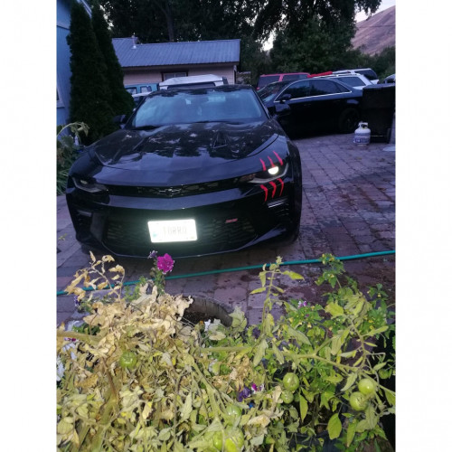 Tem Vet Cao Phan Quang Trang Tri Den Xe O To Sticker Dan Xe Tem Xe Trang Tri O To Decal Xe Oto 12952254174 10